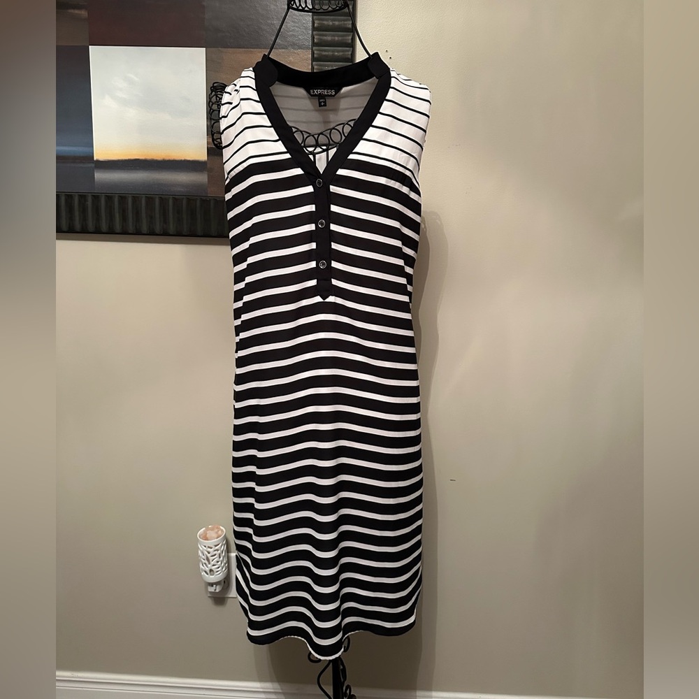 Express Monochrome Striped Dress
